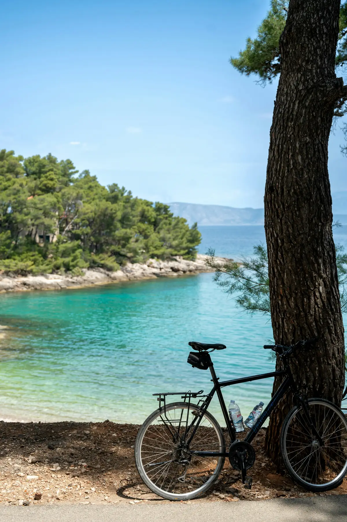 bicicletta accanto a un pino sull'isola di Ugljan